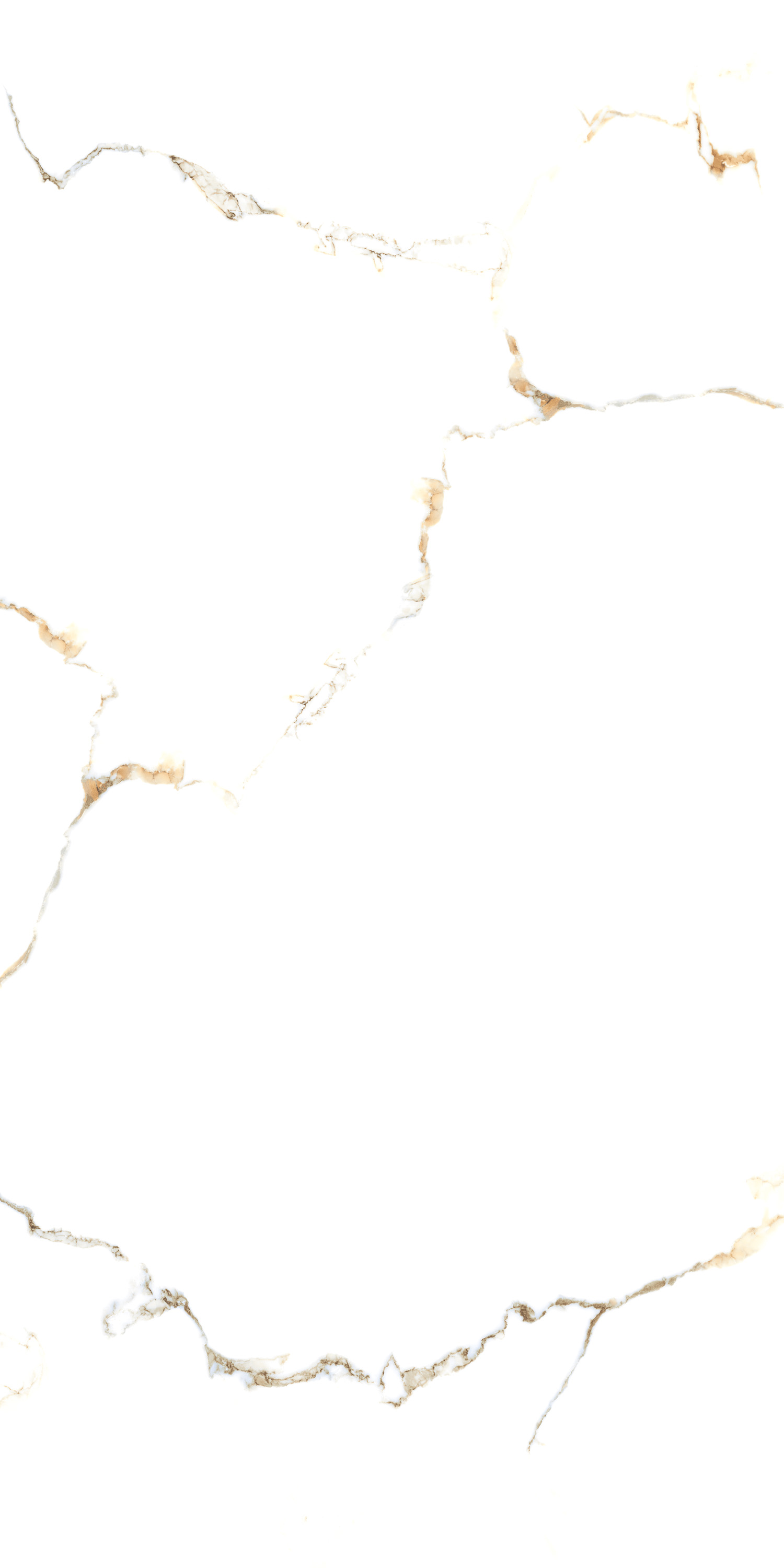 Porcelain Tile 60x120 Golden Statuario (Glossy)